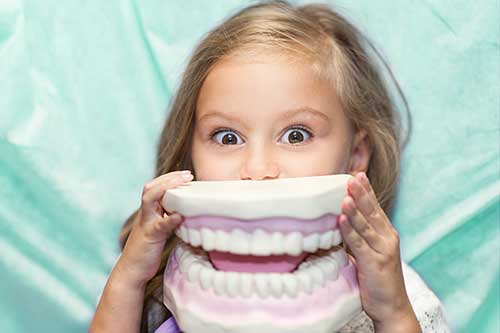 Kind beim Zahnarzt mit einem Zahnmodell vor dem Gesicht
